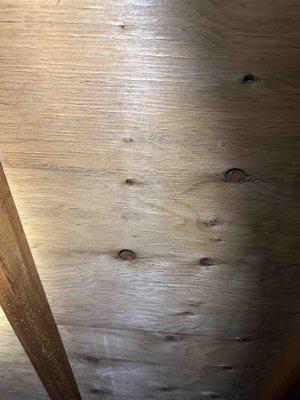 attic after removing mold staining