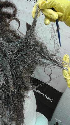 We are professional hair detanglers for matted curly dreadlock removers matted tangled knots, detangle salon offers hair detangler training.