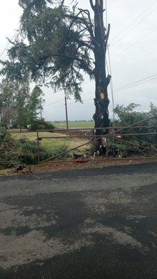 Horizon Tree Service