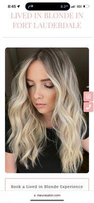 600 dollars to get hair that looks nothing like what I asked for. Not even in the same tone !!!