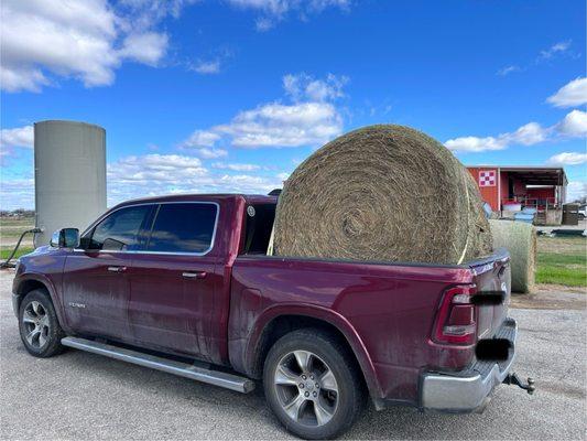 My plate after visiting the salad bar.