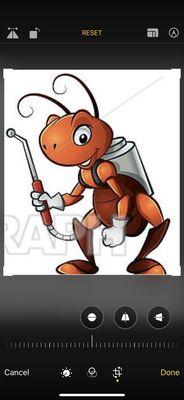 Ant Vanced Pest Solutions