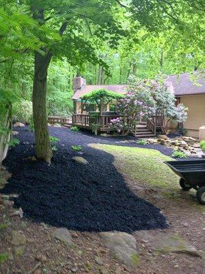 J&R Lawn Care and Maintenance