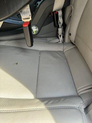 Shedlock Auto Care Specialists