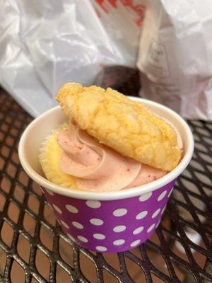 Cupcakes and Curiosities