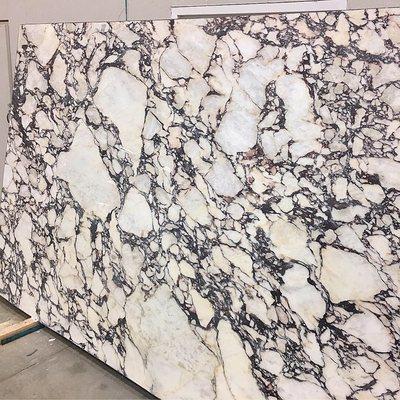 Calacatta Viola Marble