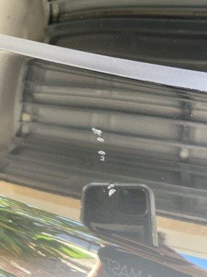 The Green Turtle Luxury Hand Car Wash