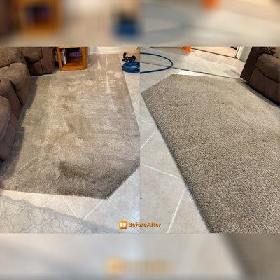 Cozy’s Carpet Care