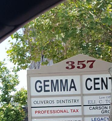 Professional Income Tax Service