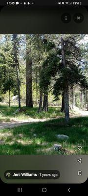 EJ Landscaping And Handyman Services