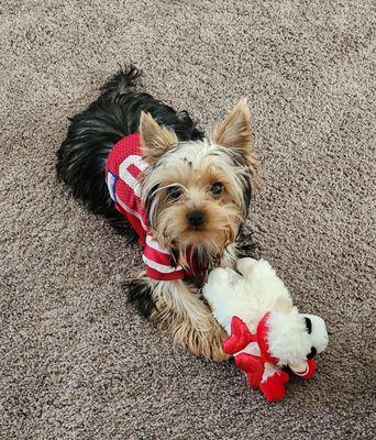 Brink Veterinary Clinic