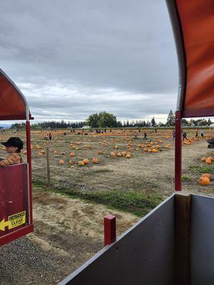 Bauman's Farm and Garden