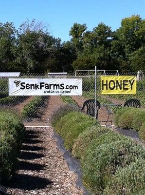 Senk Farms