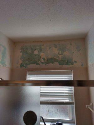 The Handyman Painter