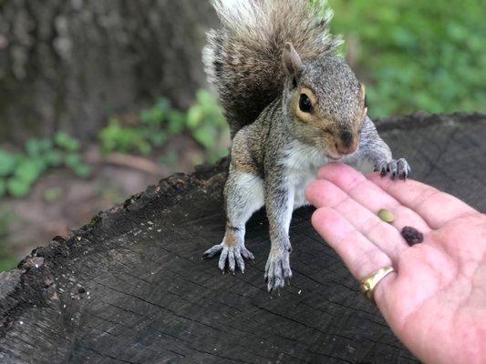 Whitey say's " I got to hand it to ya"