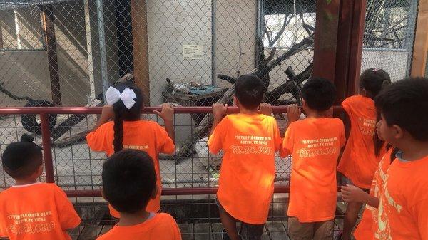 House of Little Angels