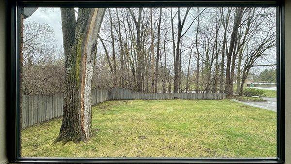 Our future outdoor play area