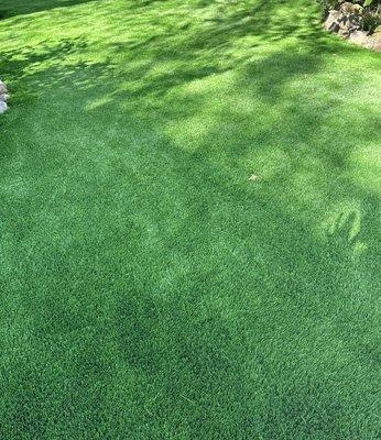 Watersavers Irrigation