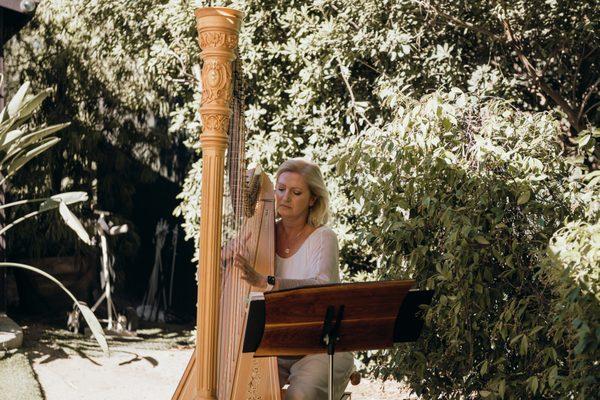 Elena Mashkovtseva Harp