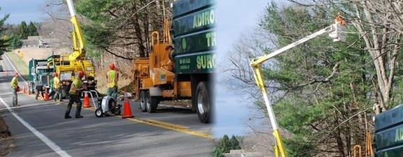 Adirondack Tree Surgeons