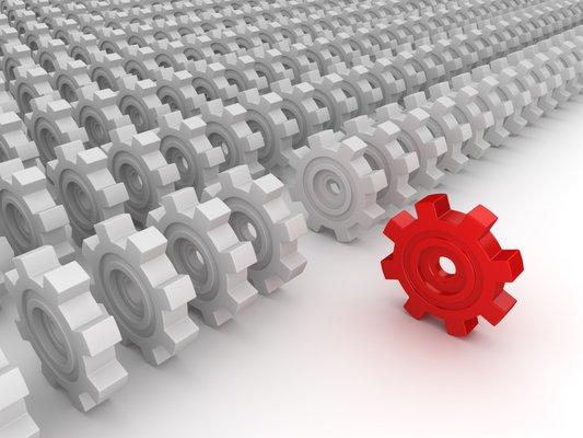 Squeaky Wheel Branding & Marketing