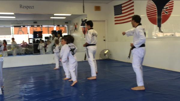 Master Hwang's Martial Arts