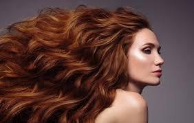Looks Unlimited