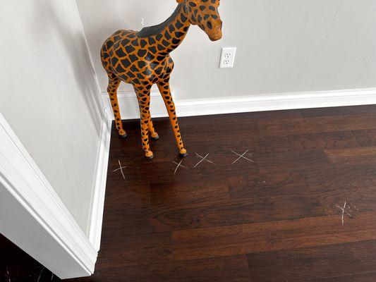 D & M Flooring America