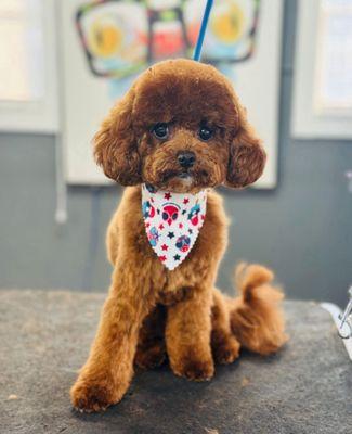 Great cut and scarf.