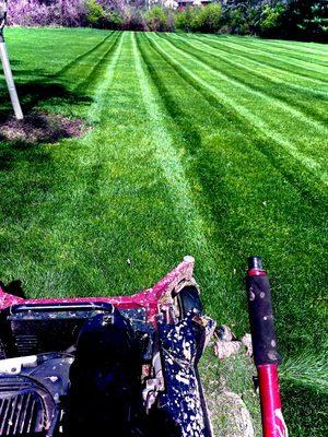New Look Lawn Care