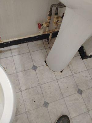 Dirty bathroom floor
