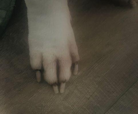 After nails were cut and filed.