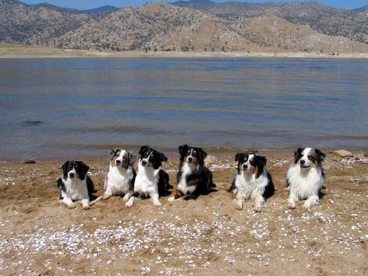Hangin' out by the lake.
