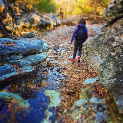 Lost Maples is still beautiful with all the leaves on the ground!