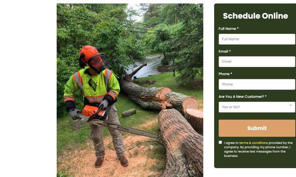 Top Quality Tree Experts