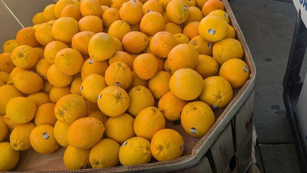 Aron's Kissena Farms