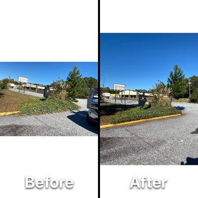 Zachary’s Junk Removal Services