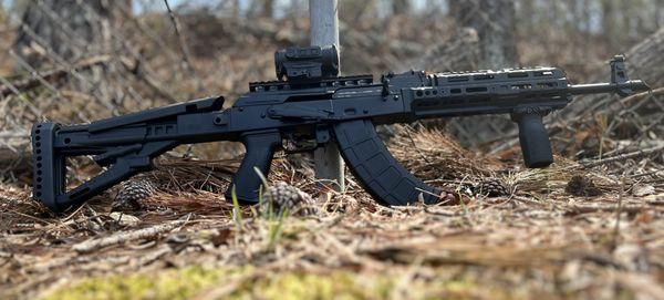 DPMS Anvil AK w/ Holosun RD