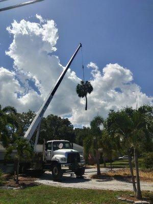 JAY BRADYS LANDSCAPING