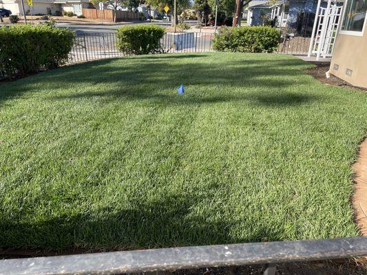 Jesse's General Landscaping