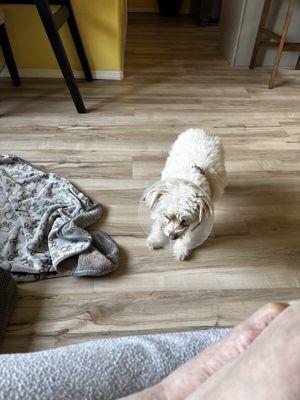 A little drugged after her dental