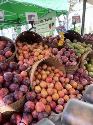 Westwood Farmer's Market