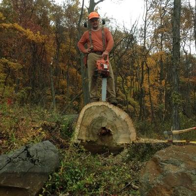 Boisseau Tree Service