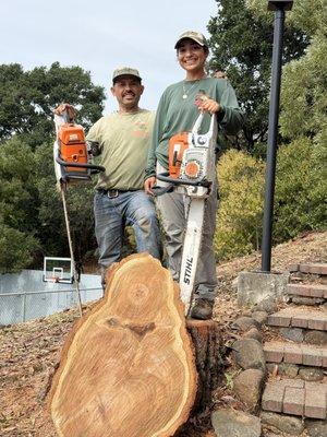 North Bay Tree Service