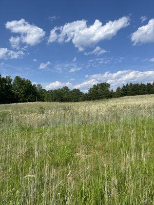 Urban Build Solutions