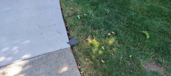 This is what you can expect when they service your property. Been like that three weeks, and they are here every week.