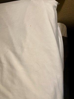 Hair and something else