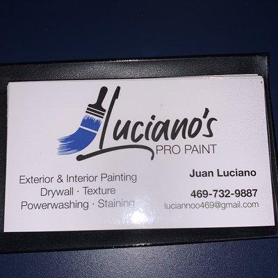 Luciano’s Pro Paint