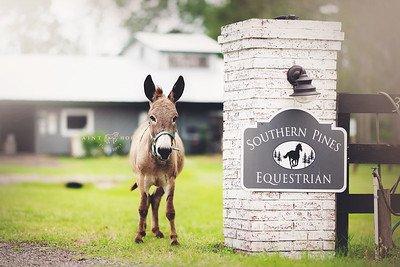 Southern Pines Equestrian