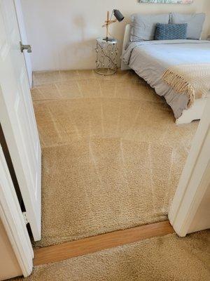 LA Express Carpet Cleaning